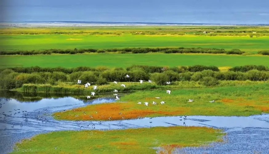 內(nèi)蒙古生態(tài)環(huán)境監(jiān)測系統(tǒng)首個生態(tài)質(zhì)量評估標(biāo)準(zhǔn)正式實(shí)施 