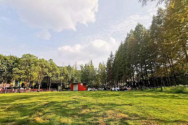 大連金普新區(qū)出重拳治揚(yáng)塵 全力守護(hù)“清新藍(lán)”