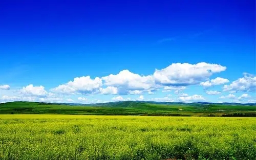 深港強化生態環境領域規則銜接與機制對接，攜手共赴美麗中國先行區之約 