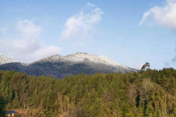 緊盯防治重點！成都、自貢、眉山靶向發力守護秋冬“氣質”